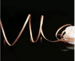 2004.jpg