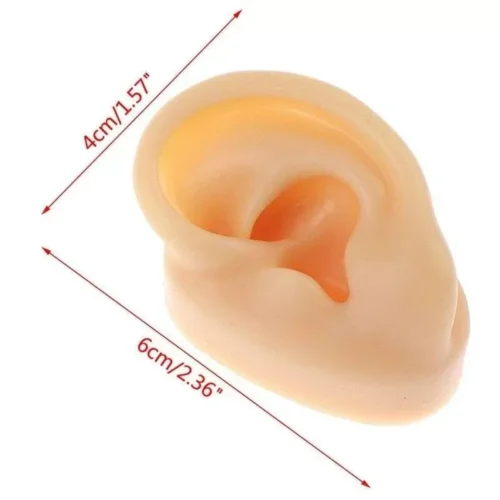 Orecchio Finto In Silicone Per Praticare Piercing Pieghevole
