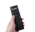 3981