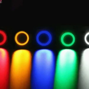 Pulsante blu 12v Acciaio Inox Pulsante Impermeabile 12mm BLU