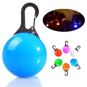 Ciondolo Collare a LED per Cane Blue Luce Notturna Portatile