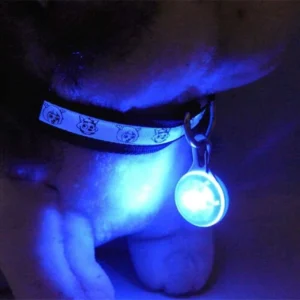 Ciondolo Collare a LED per Cane Blue Luce Notturna Portatile