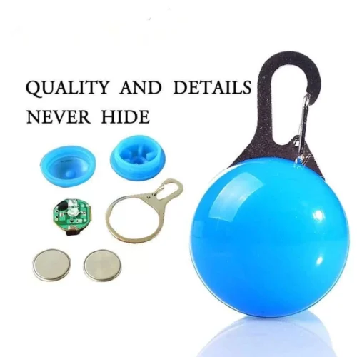 Ciondolo Collare a LED per Cane Blue Luce Notturna Portatile