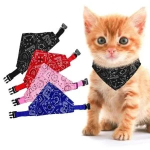 Collare Bavaglino Nero a Bandana per Cane e Gatto Sciarpa Collo