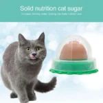 Gatti Catnip Erba Gatta Nutrizione Snack Lecca-Lecca
