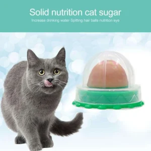 Gatti Catnip Erba Gatta Nutrizione Snack Lecca-Lecca