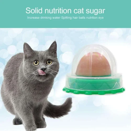 Gatti Catnip Erba Gatta Nutrizione Snack Lecca-Lecca