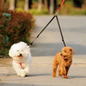 Guinzaglio Sdoppiatore per Due Cani Doppio Passeggio Nero