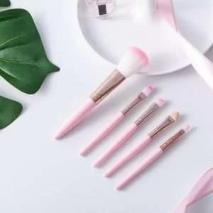 Set da 5 Pezzi Pennelli Make-Up Ombretto Rosa Opaco Trasparente Kit da Viaggio