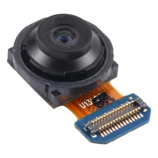 Modulo Fotocamera Posteriore 12MP per Samsung Galaxy S20 FE 4G e 5G