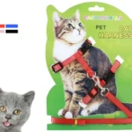 Guinzaglio+Pettorina Nylon Imbracatura Collare Cintura Gatto