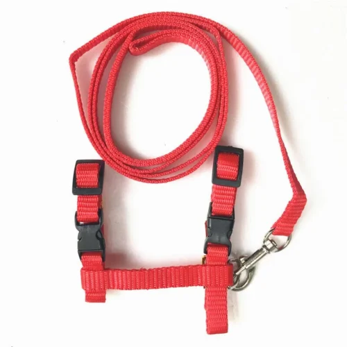 Guinzaglio+Pettorina Nylon Imbracatura Collare Cintura Gatto