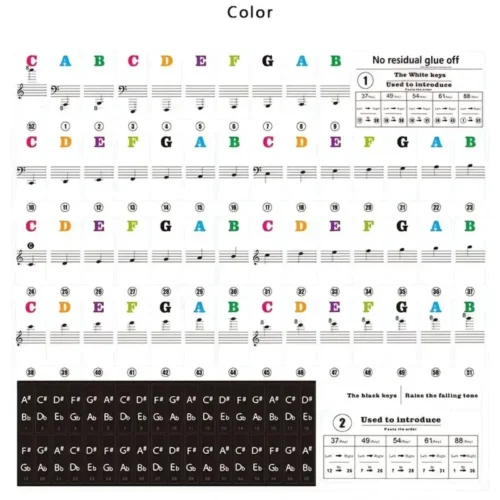 Adesivo Per Tastiera Pianoforte Musicale Colorato Tasparente Rimovibile