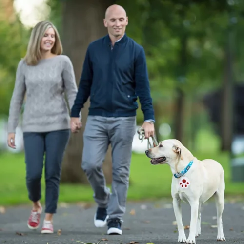 Dispositivo di Localizzazione Tag per Animali Impermeabile Wireless Bluetooth
