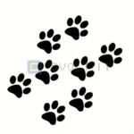 15257-1.jpg.webp