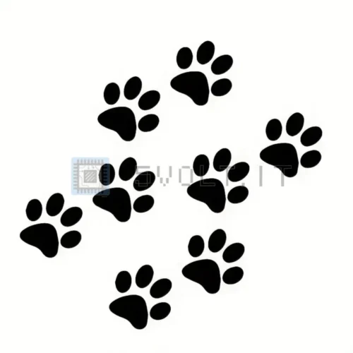 Adesivo Impronte Di Zampa Di Gatto per Auto Nero Lucido
