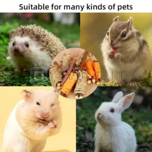 Bastone di Legno per Roditori Criceti Conigli Cincillà Ramo