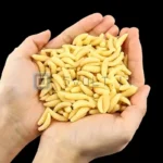 Set 100pz Vermi Morbidi Finti Esca Artificiale Spigole Carpe