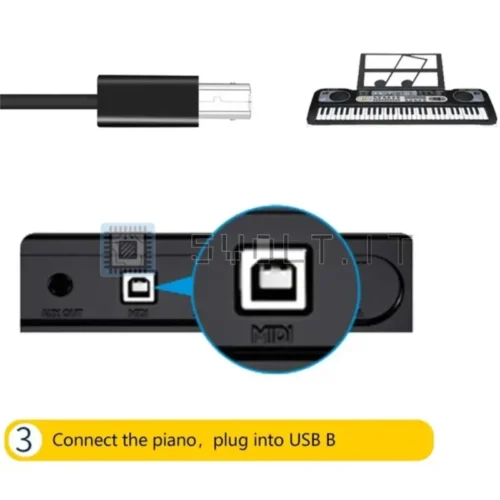 Convertitore da USB-B Femmina a USB-C Maschio 480Mbps
