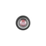 3220.jpg.webp