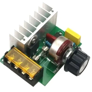 Regolatore Di Velocita Giri Dimmer 4000W 220V AC