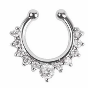 Anello Cerchio Piercing Naso Finto Placcato Argento In Lega