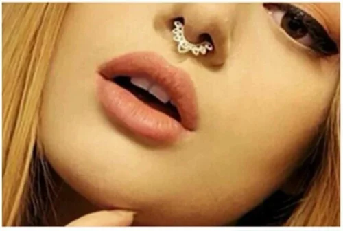 Anello Cerchio Piercing Naso Finto Placcato Argento In Lega