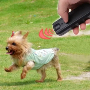 Scacciacani Ultrasuoni Scacciare Cani Allontana Antiabbaio