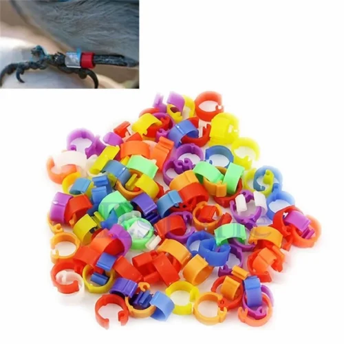 Kit 100 Anelli 8Mm Clip Identificazione Galline Polli