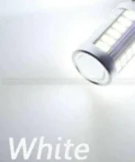3112.jpg.webp