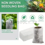 160714-2-35-11zon.webp