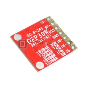 Modulo Scheda Amplificatore OEP30W Digitale Mono