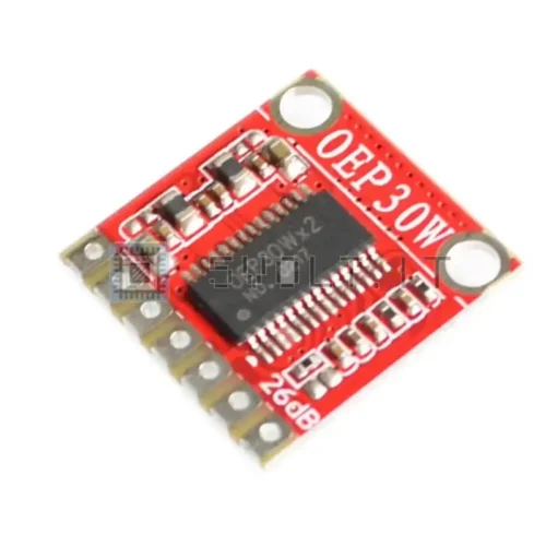 Modulo Scheda Amplificatore OEP30W Digitale Mono