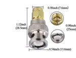 10557-BIS-2.png