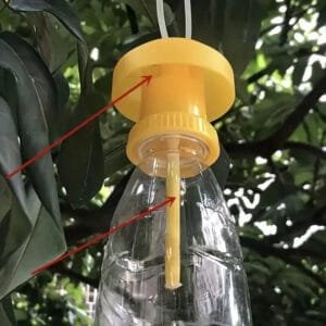 2 pezzi Trappola per insetti per casa fattoria frutteto  per giardino parassiti