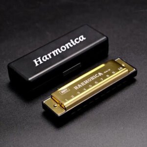 armonica C-Tone a 10 fori Metallo con custodia rigida resistente Nero e oro