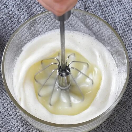 FRULLINO FRUSTA FRULLATORE PER UOVA SEMIAUTOMATICO IN ACCIAIO INOSSIDABILE INOX
