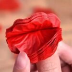 100PZ PETALI DI ROSA ROSSI ARTIFICIALI PER FESTE SAN VALENTINO FIDANZAMENTO