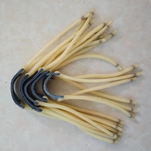 1 Ricambio per fionda giocattolo elastico gomma 31cm Bande Di Ricambio Lattice