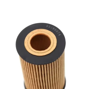 Filtro olio motore OEM 93185674 per Chevrolet Cruze Opel Astra Buick 1.4 1.6 1.8