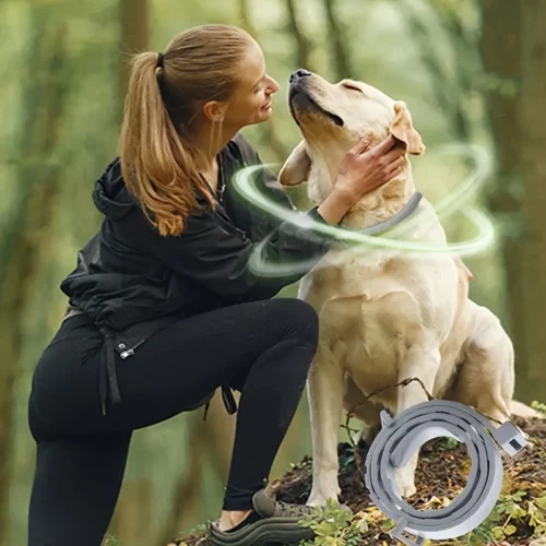 Collare regolabile gomma grigio L resistente ai morsi cani gatti