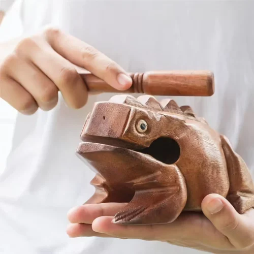 Chitarra africana legno fatta mano rana unico festival appassionati
