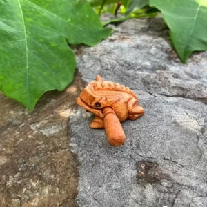 Chitarra africana legno fatta mano rana unico festival appassionati