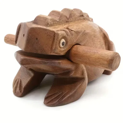 Chitarra africana legno fatta mano rana unico festival appassionati