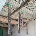 10x Trappole Mosche Doppia Faccia Interno Casa Alta Efficienza