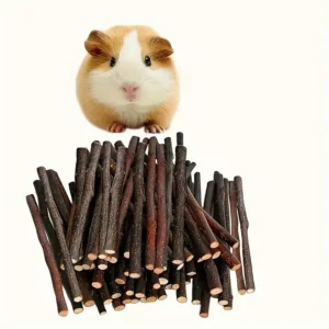 10 Bastoncini Legno Apple Animali Giocattoli Criceti Conigli Gatti Mela