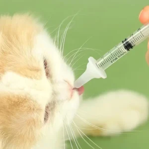 Kit alimentazione neonato gatto biberon latte nutrimento gatti