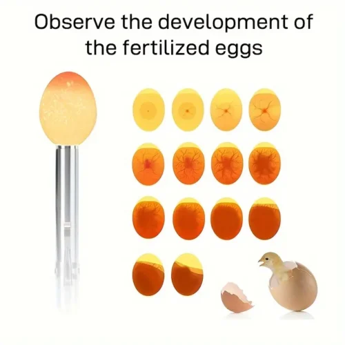 Tester portatile incubatore LED uova acciaio inox controllo fertilità allevatori