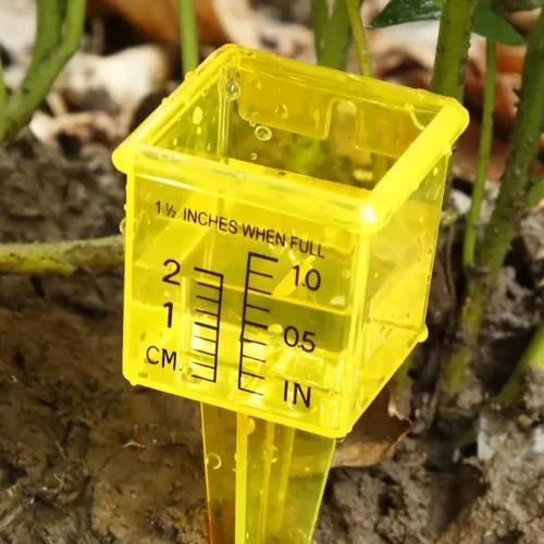 1x Pluviometro Plastica Giardino Meteorologico Facile Lettura Impermeabile