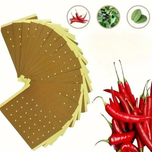 40pz strisce autocaloriche fiamma tigre muscoli articolazioni outdoor fitness